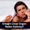 Erkeğin Cinsel Organı Neden Kalkmaz