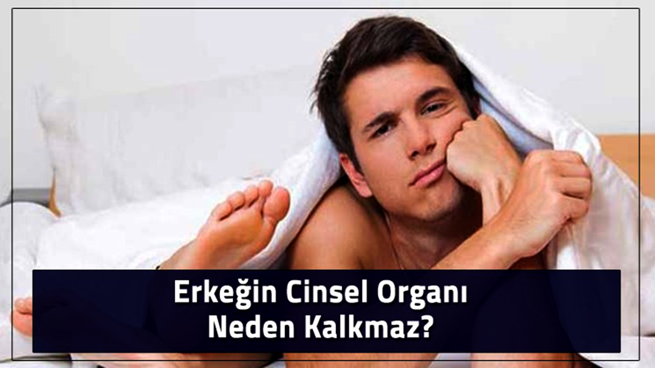 Erkeğin Cinsel Organı Neden Kalkmaz